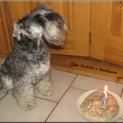 ozzy_2_narozeniny-2.jpg
