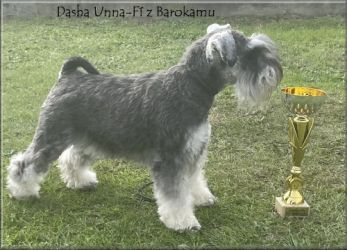 Malý knírač pepř a sůl Dasha Unna Fí z Barokamu