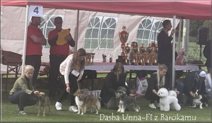Malý knírač pepř a sůl Dasha Unna Fí z Barokamu