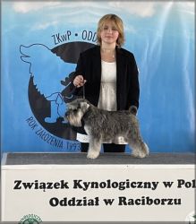 Malý knírač pepř a sůl Dasha Unna Fí z Barokamu