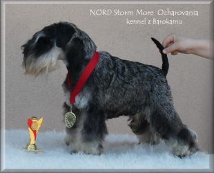 Malý knírač pepř a sůl Nord Storm More Ocharovania