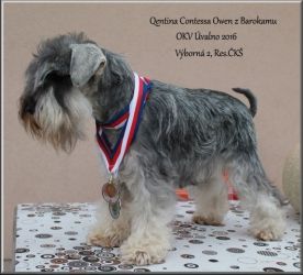 Malý knírač pepř a sůl Qentina Contessa Owen z Barokamu
