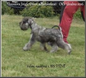 Malý knírač pepř a sůl Theodora Jingle Owen z Barokamu