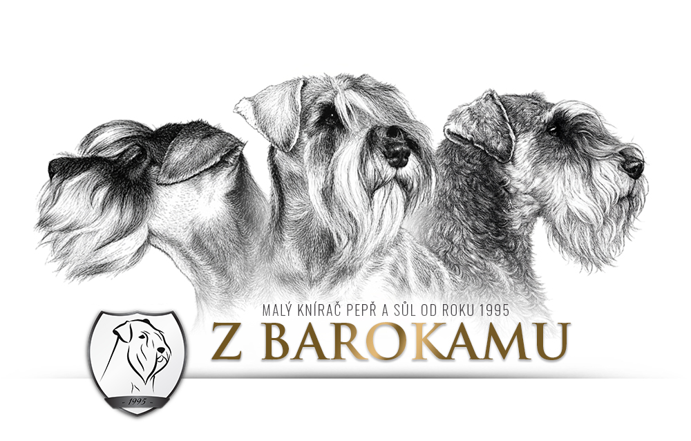Knírač malý pepř a sůl chovatelská stanice z Barokamu