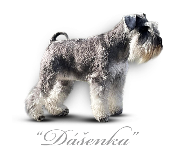 Malý knírač pepř a sůl Dasha Unna Fí z Barokamu