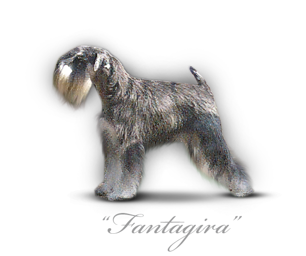Malý knírač pepř a sůl Fantagira Princes  Z BAROKAMU