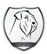 Logo z Barokamu