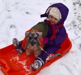 Malý knírač pepř a sůl Tiffany Jingle z Barokamu