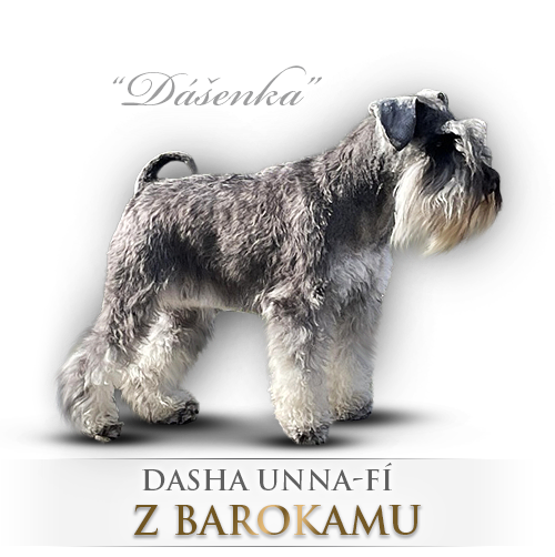 Malý knírač pepř a sůl Dasha Unna Fí z Barokamu
