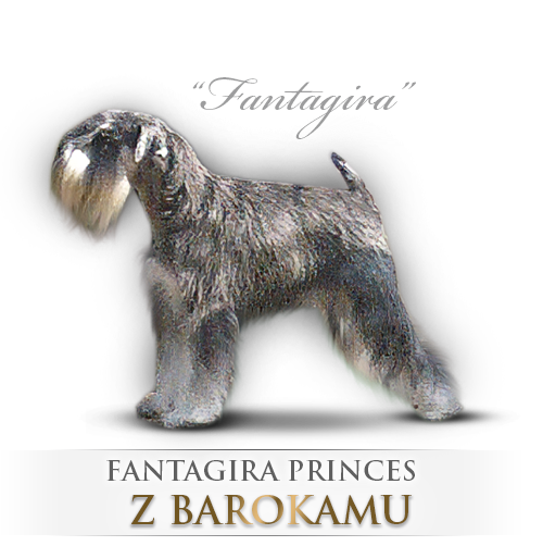 Malý knírač pepř a sůl Fantagira Princes z Barokamu