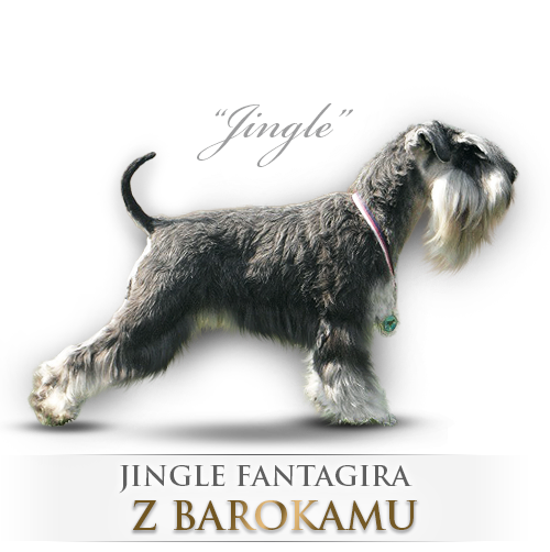 Malý knírač pepř a sůl Jingle Fantagira z Barokamu