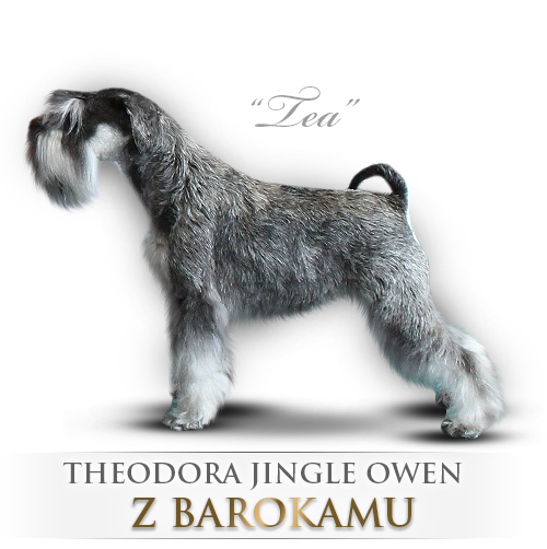 Malý knírač pepř a sůl Theodora Jingle Owen z Barokamu