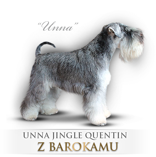 Malý knírač pepř a sůl Unna Jingle Quentin z Barokamu