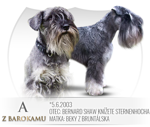Malý knírač pepř a sůl vrh A z Barokamu