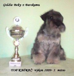 Malý knírač pepř a sůl GOLDIE BEKY z Barokamu