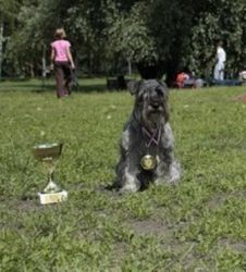 Malý knírač pepř a sůl GREISS BEKY z Barokamu