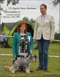 Malý knírač pepř a sůl QUENTIN Owen z Barokamu